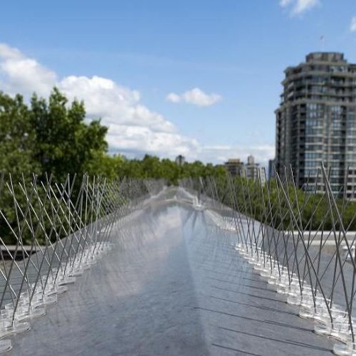 xr:d:DAFkeZhcwjg:7,j:2166623366821703032,t:23053109