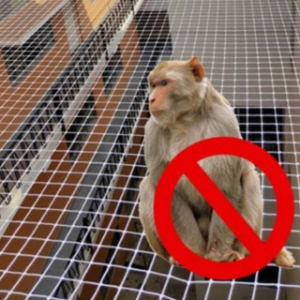 Untitled design (26)