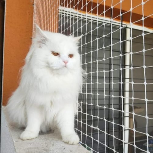 WhatsApp Image 2025-11-04 at 3.09.36 PM (1)